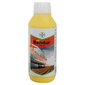 Bandur 600 SC/1 L 1