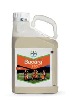 Bacara Trio 516 SC/5L 1