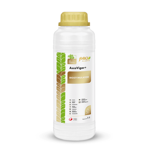 AscoVigor+ 1L biostymulator 1