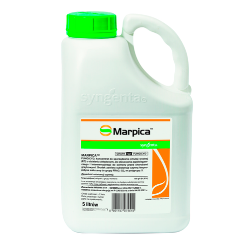 Marpica/5 L 1