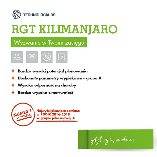 Pszenica RGT Kilimanjaro, 25 kg, Nasiona Dalgety 3