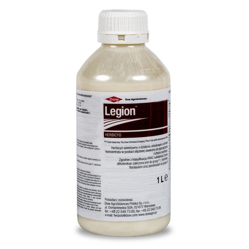 Legion/1L 1