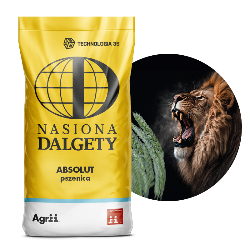 Pszenica ozima Absolut, 25 kg, Nasiona Dalgety 1
