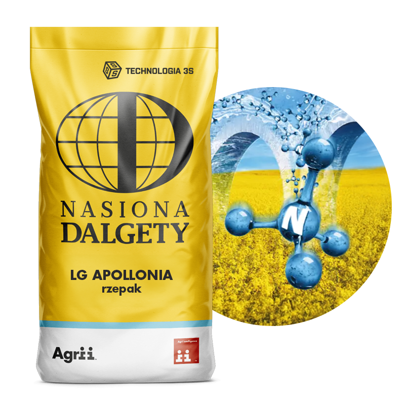 Rzepak ozimy hybrydowy  LG Apollonia C/1 Buteo Start + Integral Pro | | Nasiona Dalgety 1