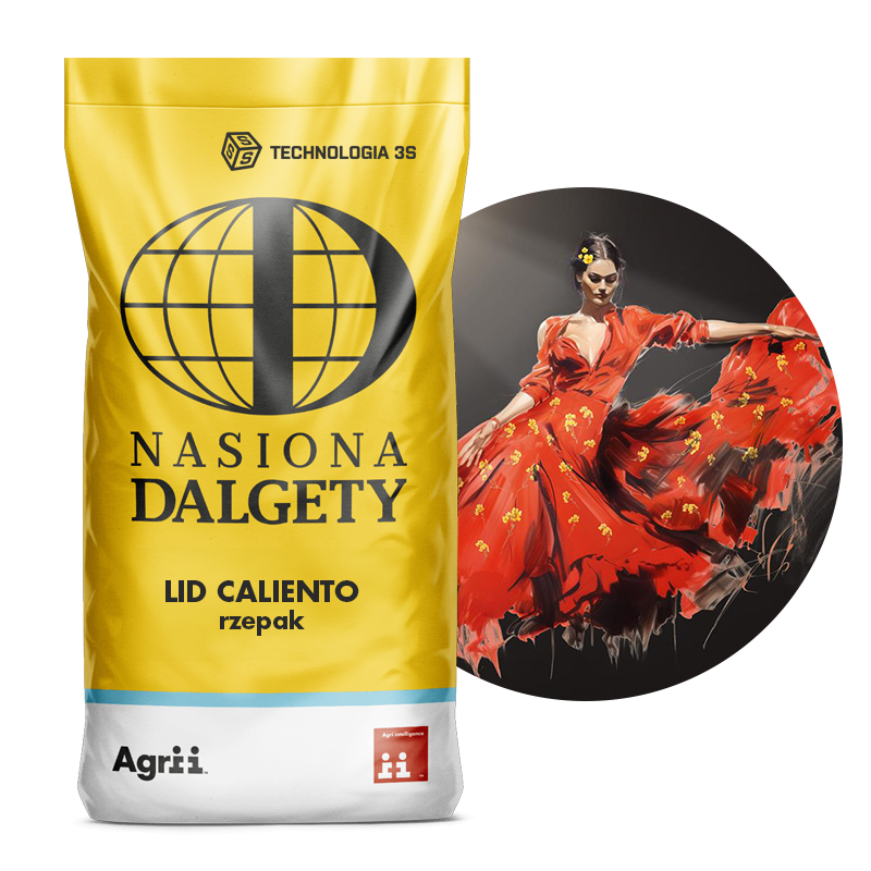 Rzepak ozimy hybrydowy LID CALIENTO C/1 Buteo Start + Integral Pro | Nasiona Dalgety 1