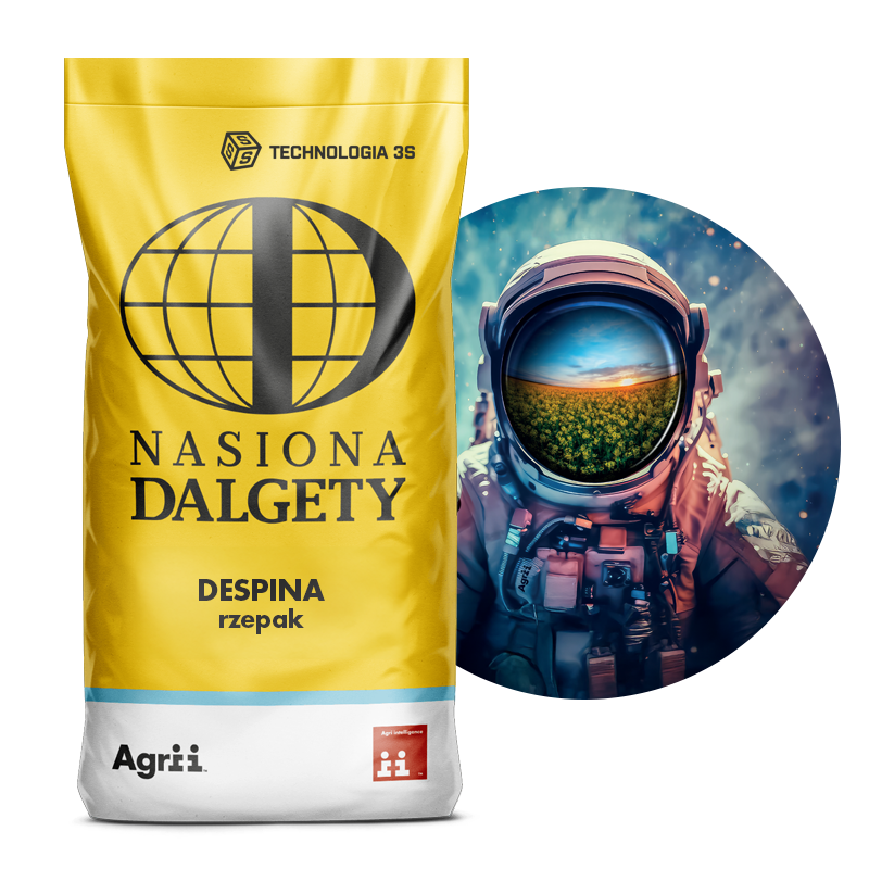 Rzepak ozimy hybrydowy DESPINA, BUTEO Start+Integral Pro | Nasiona Dalgety 1