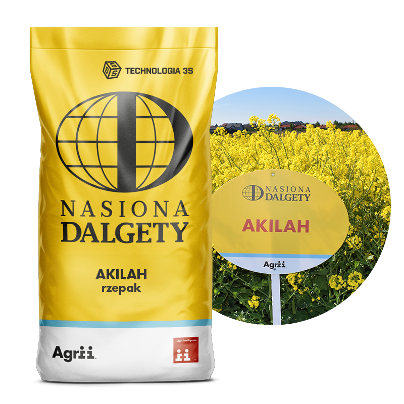 Rzepak ozimy hybryd Akilah C/1 BUTEO Start+Integral Pro | Nasiona Dalgety 1