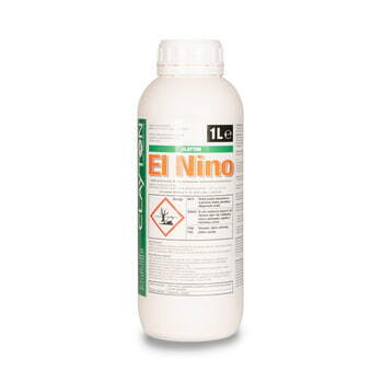 Clayton El Nino/1L 1