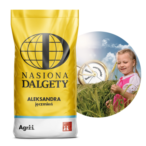 Jęczmień ozimy Aleksandra, 25 kg, Nasiona Dalgety 1