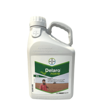 Delaro Forte /5L 1
