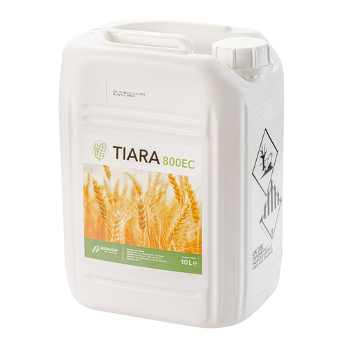 Tiara 10/L 1