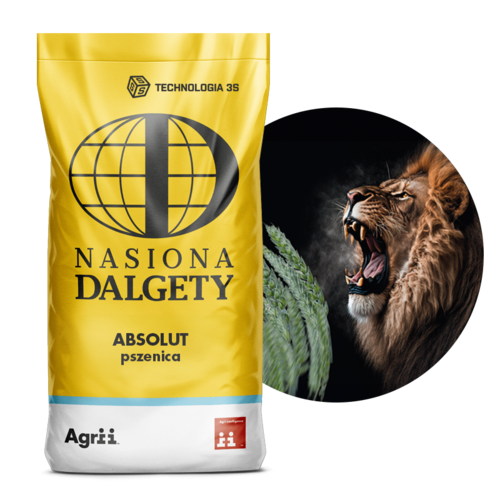 Pszenica ozima Absolut, 25 kg, Nasiona Dalgety 1