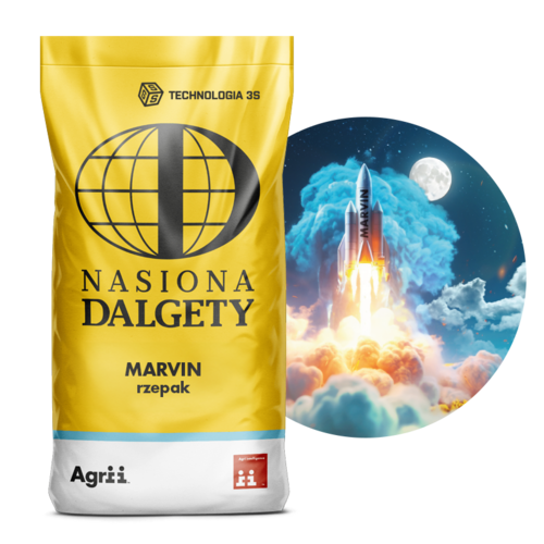 Rzepak ozimy MARVIN C/1 Buteo Start + Integral Pro | Nasiona Dalgety 1