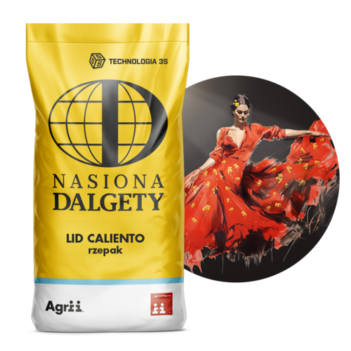 Rzepak ozimy hybrydowy LID CALIENTO C/1 Buteo Start + Integral Pro | Nasiona Dalgety 1