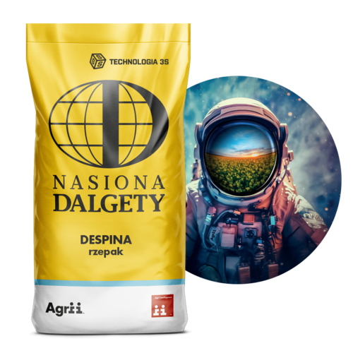 Rzepak ozimy hybrydowy DESPINA, BUTEO Start+Integral Pro | Nasiona Dalgety 1