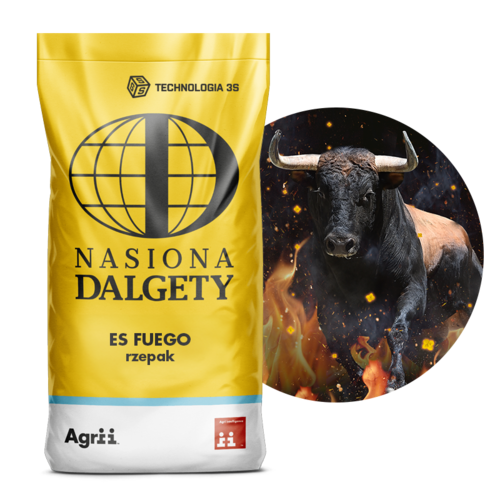 Rzepak ozimy ES FUEGO C/1 Buteo Start + Integral Pro | Nasiona Dalgety 1