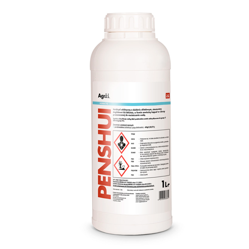 Penshui/1 L 1