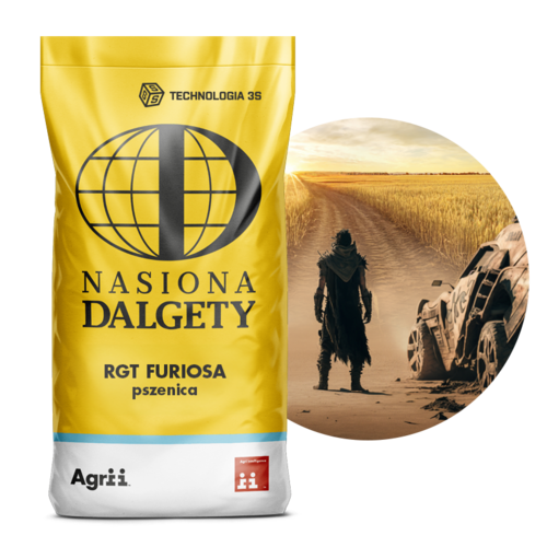 Pszenica ozima RGT Furiosa, 25 kg, Nasiona Dalgety 1